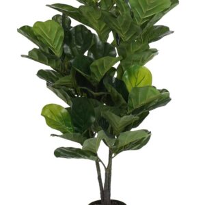 FICUS ARTIFICIAL