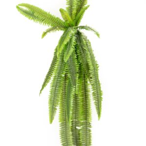 PLANTA HELECHO 120 CM