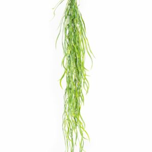 PLANTA HELECHO SAUCE